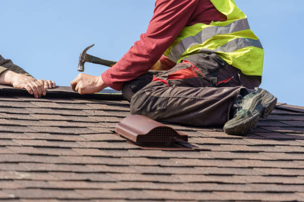 Best Metal Roofing Contractor  in Auburn Hills, MI
