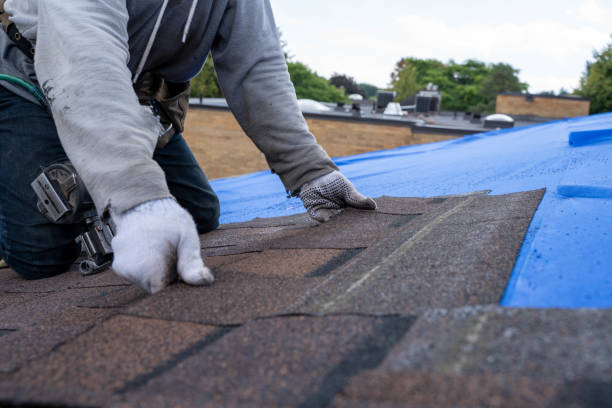 Best Commercial Roofing Services  in Auburn Hills, MI